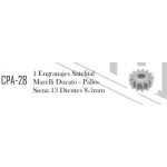 CPA-28