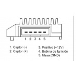 RALUX-8776 - Image 2