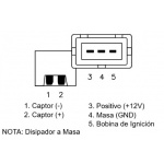 RALUX-8762 - Image 2