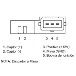 RALUX-8774 - Image 2