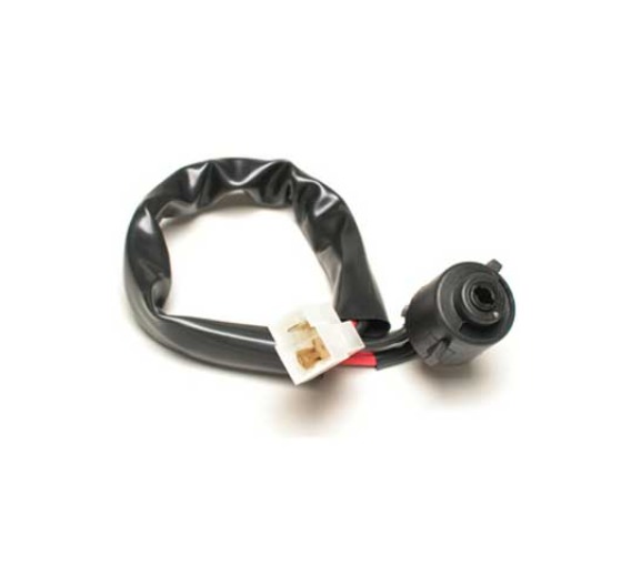 87faa472-ffa9-4cd9-8f6e-48bfb4cdbf07 EX13442 - Image 1